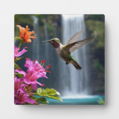 Hummingbird Waterfall Park, Fotoplaat (Voorkant)