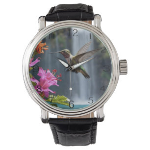 Hummingbird Waterfall Park, Mannen Horloge