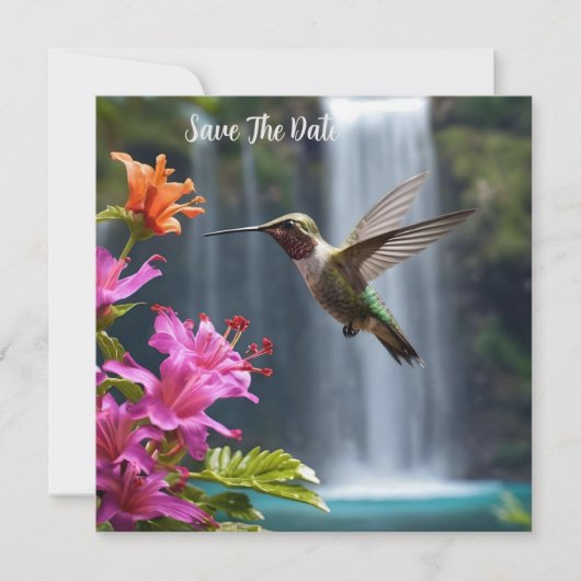 Hummingbird Waterfall Park, Save The Date (Voorkant)