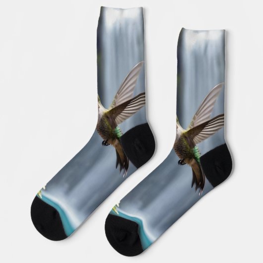 Hummingbird Waterfall Park, Sokken (Links)