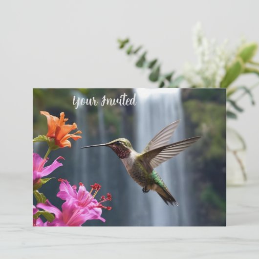Hummingbird Watervalpark, Kaart (Staand voorkant)