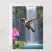 Hummingbird Watervalpark, Kaart (Achterkant)