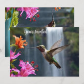 Hummingbird Watervalpark, Kaart (Voorkant / Achterkant)