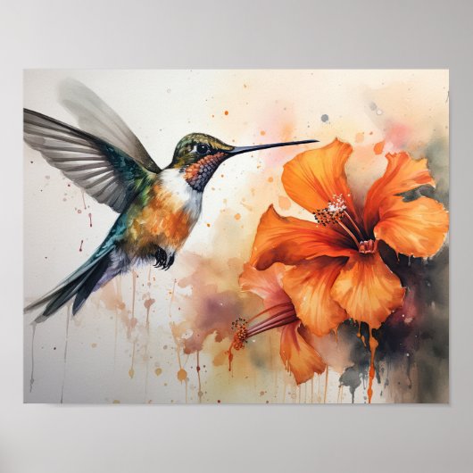 Hummingbird Waterverf Art Print Poster (Voorkant)