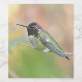 Hummingbird Wijnlabel Wijn Etiket (Enkel label)