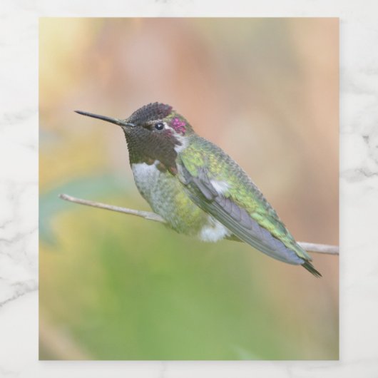 Hummingbird Wijnlabel Wijn Etiket (Enkel label)