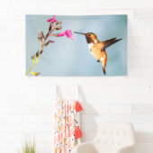 Hummingbird Wild in Natuur Spandoek (Insitu)