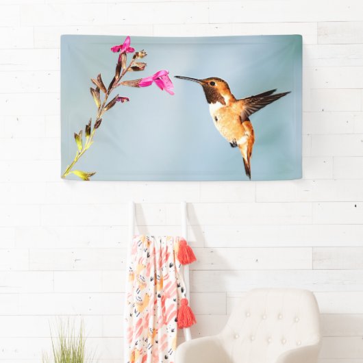 Hummingbird Wild in Natuur Spandoek (Insitu)
