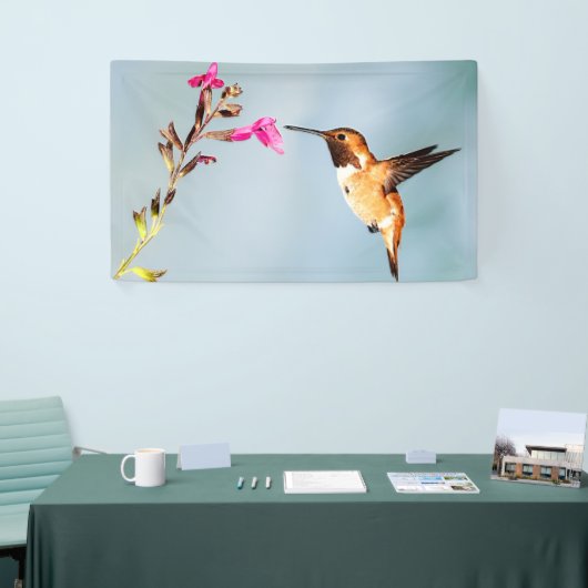 Hummingbird Wild in Natuur Spandoek (Beurs)