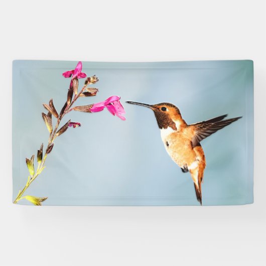 Hummingbird Wild in Natuur Spandoek (Horizontaal)
