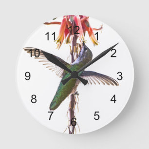 Hummingbird Wings Ronde Klok