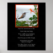 Hummingbird Wisdom Poster (Voorkant)
