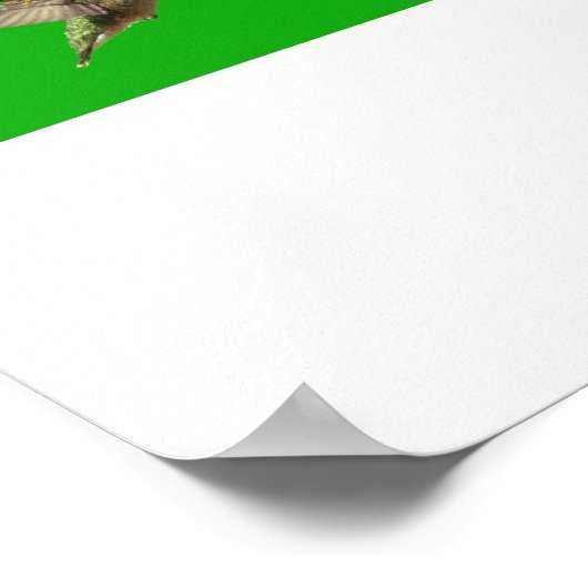 Hummingbird x16 (getitreerd) poster (Hoek)