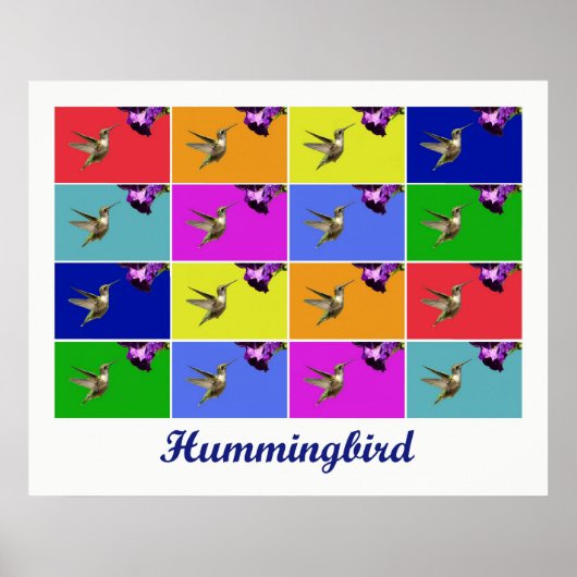 Hummingbird x16 (getitreerd) poster (Voorkant)