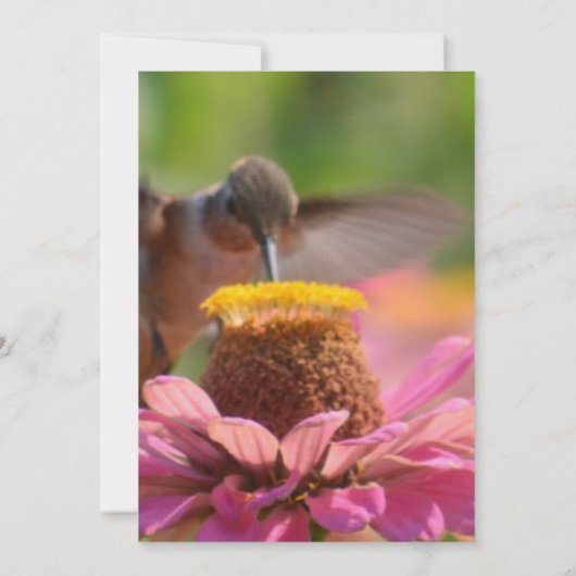Hummingbird Zinnia Flower Romantische bruiloft Kaart (Achterkant)