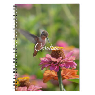 Hummingbird Zinnia Flowers Notitieboek