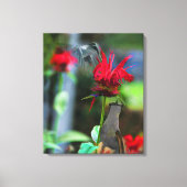 HUMMINGBIRDS - Canvasprint - 20 x 24 Canvas Afdruk (Voorkant)