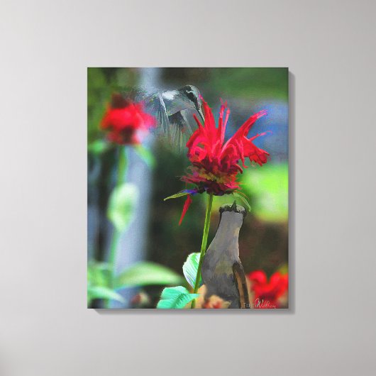HUMMINGBIRDS - Canvasprint - 20 x 24 Canvas Afdruk (Voorkant)