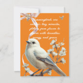 HUMMINGBIRDS FEESTDAGENKAART (Voorkant)