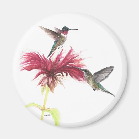 Hummingbirds Floral Waterverf Magneet (Voorkant)