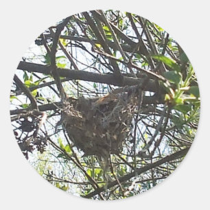 Hummingbird's Nest in Lila Shrub Square Sticker