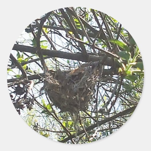 Hummingbird's Nest in Lila Shrub Square Sticker (Voorkant)