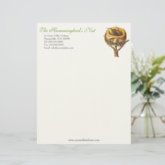 Hummingbird's Nest Letterhead for Humminbird Lover Briefhoofd (Staand voorkant)