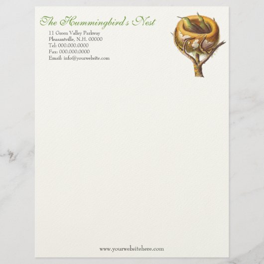 Hummingbird's Nest Letterhead for Humminbird Lover Briefhoofd (Voorkant)