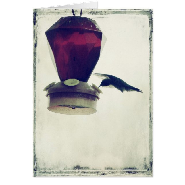 Hummingvogel 2 (Voorkant)