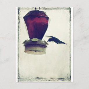 Hummingvogel 2 briefkaart