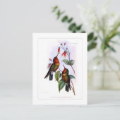 Hummingvogel Briefkaart (Staand voorkant)