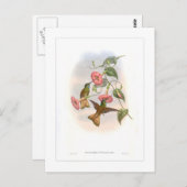 Hummingvogel Briefkaart (Voorkant / Achterkant)