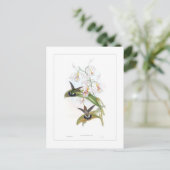 Hummingvogel Briefkaart (Staand voorkant)
