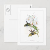 Hummingvogel Briefkaart (Voorkant / Achterkant)