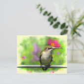 Hummingvogel Briefkaart (Staand voorkant)