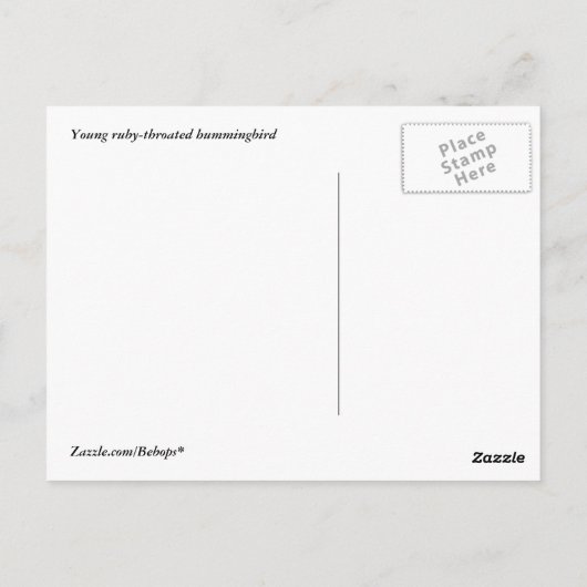 Hummingvogel Briefkaart (Achterkant)