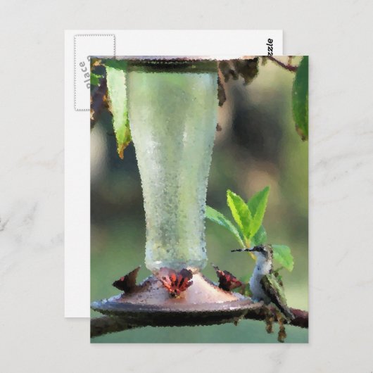 Hummingvogel Briefkaart (Voorkant / Achterkant)