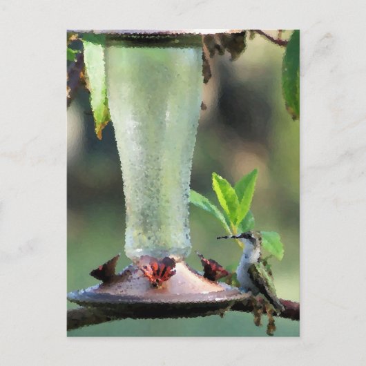 Hummingvogel Briefkaart (Voorkant)