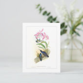 Hummingvogel Briefkaart (Staand voorkant)