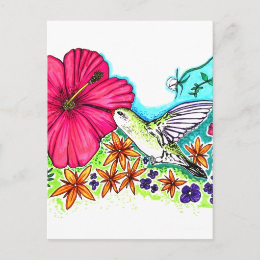 Hummingvogel Briefkaart (Voorkant)