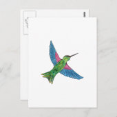 Hummingvogel Briefkaart (Voorkant / Achterkant)
