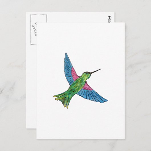 Hummingvogel Briefkaart (Voorkant / Achterkant)