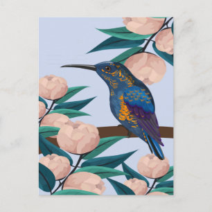 Hummingvogel Briefkaart