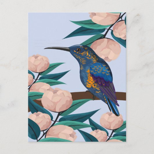 Hummingvogel Briefkaart (Voorkant)
