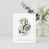 Hummingvogel Briefkaart (Staand voorkant)