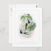 Hummingvogel Briefkaart (Voorkant / Achterkant)