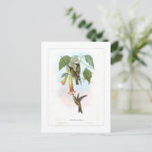 Hummingvogel Briefkaart (Staand voorkant)