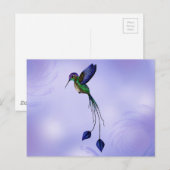 Hummingvogel Briefkaart (Voorkant / Achterkant)