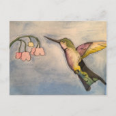Hummingvogel Briefkaart (Voorkant)