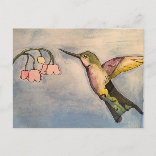 Hummingvogel Briefkaart (Voorkant)